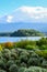 Lavender farm in Oishi Park, Lake Kawaguchiko