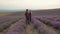 Lavender Farming. Industrial cultivation of lavender for the production of essential oil. An agronomist and a farmer in