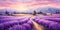 A lavender field in full bloom, painting a picture in shades of purple, concept of Floral landscape, created with