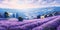 A lavender field in full bloom, painting a picture in shades of purple, concept of Floral landscape, created with