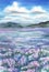 Lavender field landscape watercolor