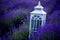 Lavender Field Magic: Enhancing the Scene with Decorative Lanterns