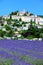 Lavender field and old town of Banon