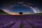 Lavender field with rows lines at night with milky way ark at sky. Space background, beautiful universe