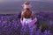 Lavender field in the runrise, harvesting season, Isparta Turkey