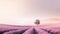 Lavender field with a solitary tree under the tranquil pink sky. AI Generated