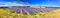 Lavender field in summer countryside,Provence,Franc