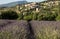 A lavender field with the village of Aurel beyond, the Vaucluse, Provence,