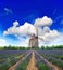 Lavender field with windmill in Provence