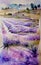 Lavender fields - abstract watercolor art