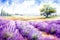 Lavender fields in bloom self care background