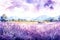 Lavender fields in bloom self care background