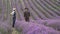 Lavender Fields Herb Farm. A married couple of middle-aged farmers grow lavender on an industrial scale. Agricultural