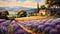 Lavender Fields And Rural Tuscany House Painting