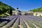 Lavender fields in Senanque Abbey