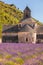 Lavender fields with Senanque monastery in Provence, Gordes, France