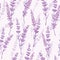 Lavender floral purple vector seamless pattern.
