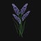 Lavender flower embroidered with purple and green stitches on black background. Gorgeous embroidery design with aromatic