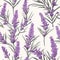 lavender flower rough hand drawn using violet ink seamless pattern