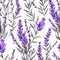 lavender flower rough hand drawn using violet ink seamless pattern