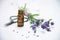 Lavender flowers, a bottle with essential herbal oil and scissor
