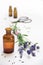 Lavender flowers and bottles with essential herbal oil on white