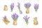 Lavender flowers, bouquet, vintage jar arrangements set, symbol of French Provence region, summer and vacation design, hand drawn