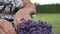 Lavender flowers close up. Lavender flowers are grown in meadows