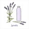 Lavender flowers colored sketch style and cosmetcs make-up removal high bottle. steem, head in bloom. purple