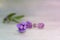 Lavender flowers on concrete table