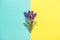 Lavender flowers herb leaves turquoise yellow background