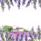 Lavender flowers, rural farm house. Watercolor card
