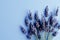 lavender flowers on a table not only adds a touch of natural beauty and tranquility to any space