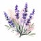 Lavender Flowers In Watercolor: Tattoo-inspired Illustration