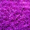 Lavender fragrance bath salts crystals