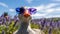 Lavender Goose With Blue Sunglasses In A Field Of Lavender