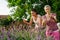 Lavender harvesting. Mother and daughter picking lavender flowers