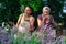 Lavender harvesting. Mother and daughter picking lavender flowers