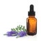 Lavender Herb Flower Essence