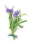 Lavender Herb Flower Posy