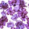 Lavender Hibiscus Background. Vanilla Flower Background. Purple Seamless Garden. Pink Vintage Plant. Pattern Set. Watercolor Wallp