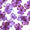 Lavender Hibiscus Leaf. Pink Flower Textile. Purple Seamless Textile. Vanilla Vintage Textile. Pattern Textile. Watercolor Backdro