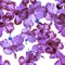 Lavender Hibiscus Plant. Vanilla Flower Backdrop. Pink Seamless Background. Purple Vintage Foliage. Pattern Palm. Watercolor Print