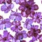 Lavender Hibiscus Print. Pink Flower Leaves. Vanilla Seamless Wallpaper. Purple Vintage Textile. Pattern Leaf. Watercolor Plant. T