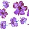 Lavender Hibiscus Set. Pink Flower Plant. Purple Seamless Print. Vanilla Vintage Print. Pattern Palm. Watercolor Design. Tropical