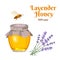 Lavender honey in glass jar, bee and twigs of lavender plants isolated on  white background.