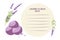 Lavender ice cream Recipe. Homemade Ice creme, lavender plant, template for recipe. Recipe card template with copy space