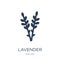 Lavender icon. Trendy flat vector Lavender icon on white background from nature collection