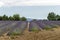 Lavender lines covered in flowers on endless fields tainted in purple, Provence, South of France