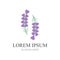 Lavender Logo Template vector symbol nature